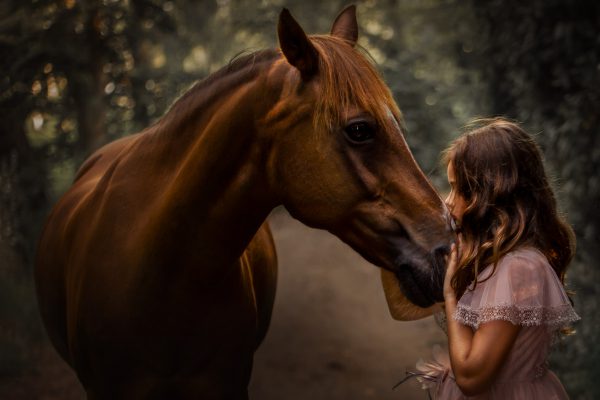 fotograaf-communie-leuven-paard